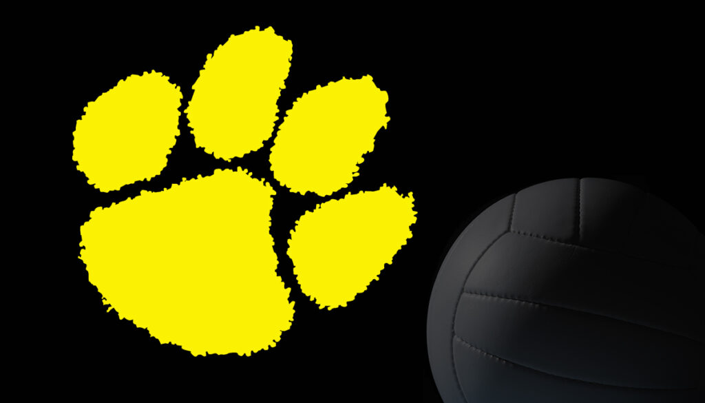 SWR_Volleyball