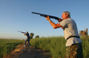 DOVE SEASON