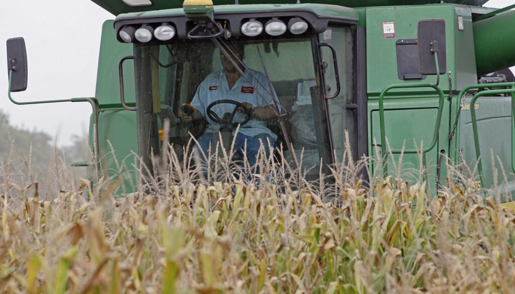 Irene NC Farmers