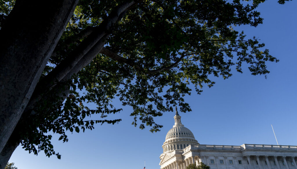 Congress Budget