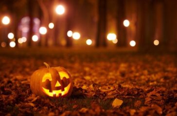 AdobeStock_172959534-1-678x381