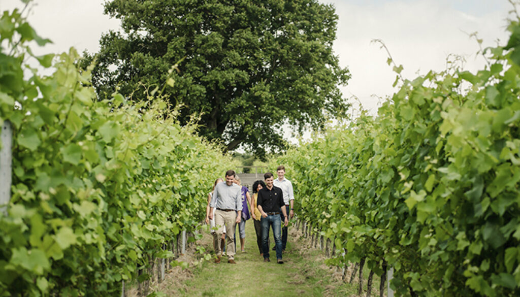 EU Food English Sparkling Wine