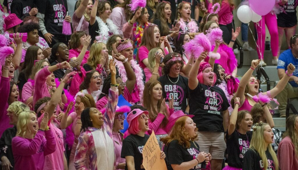 UCA dig pink students